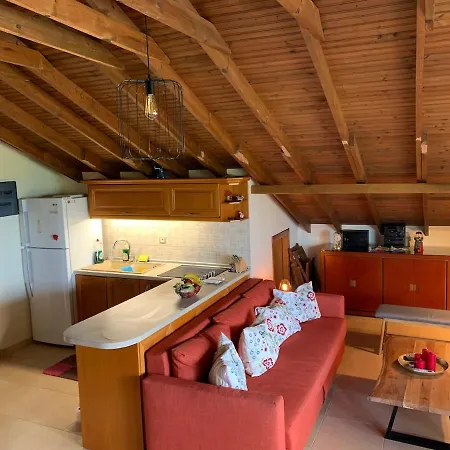 Nikolas Villa *