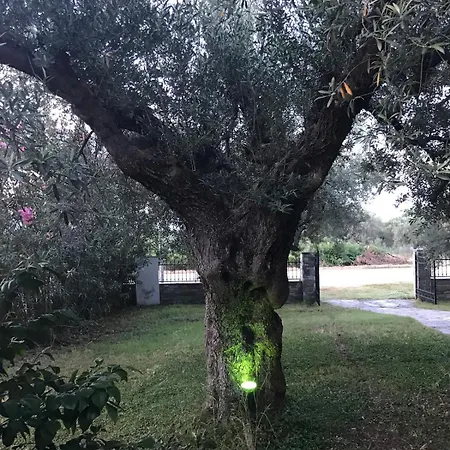 Nikolas Agios Nikolaos (Chalkidiki)